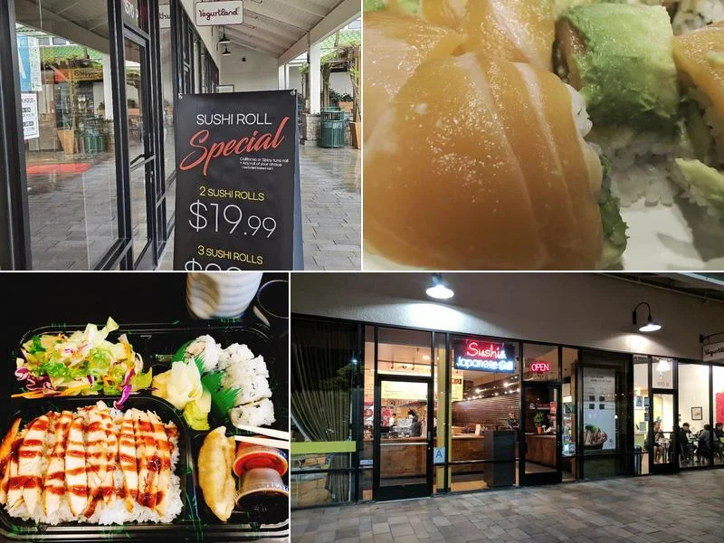 The Rice Bowl, Ramen and Sushi business photo